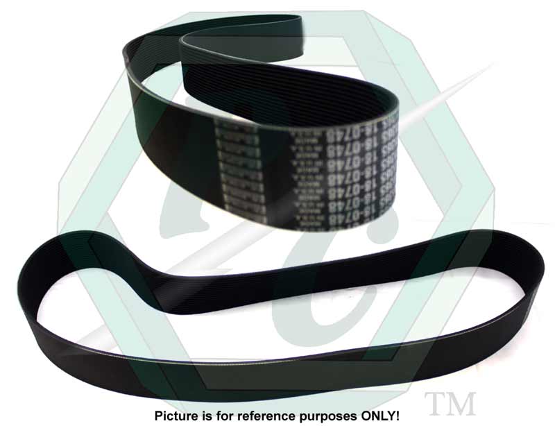 5141365_Belt_L1.jpg