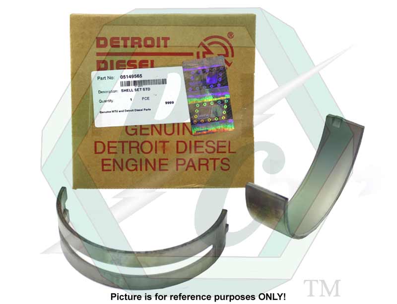 5149565_Shell-Set_L1