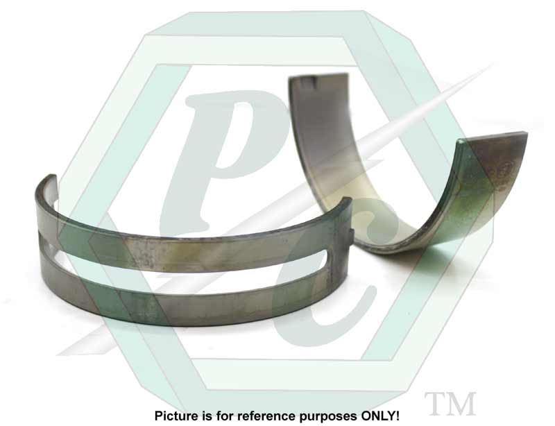 5149565_Shell-Set_L2